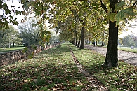 Img 021